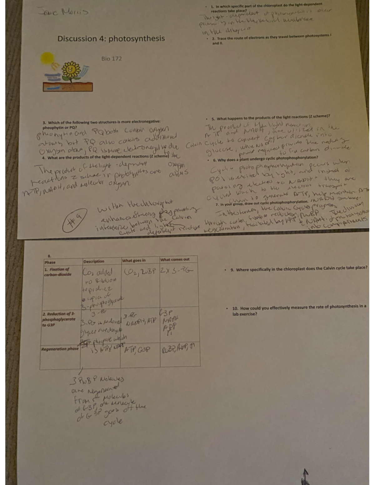 D4 - Comprehensive Lecture Notes for Understanding Concepts - Studocu