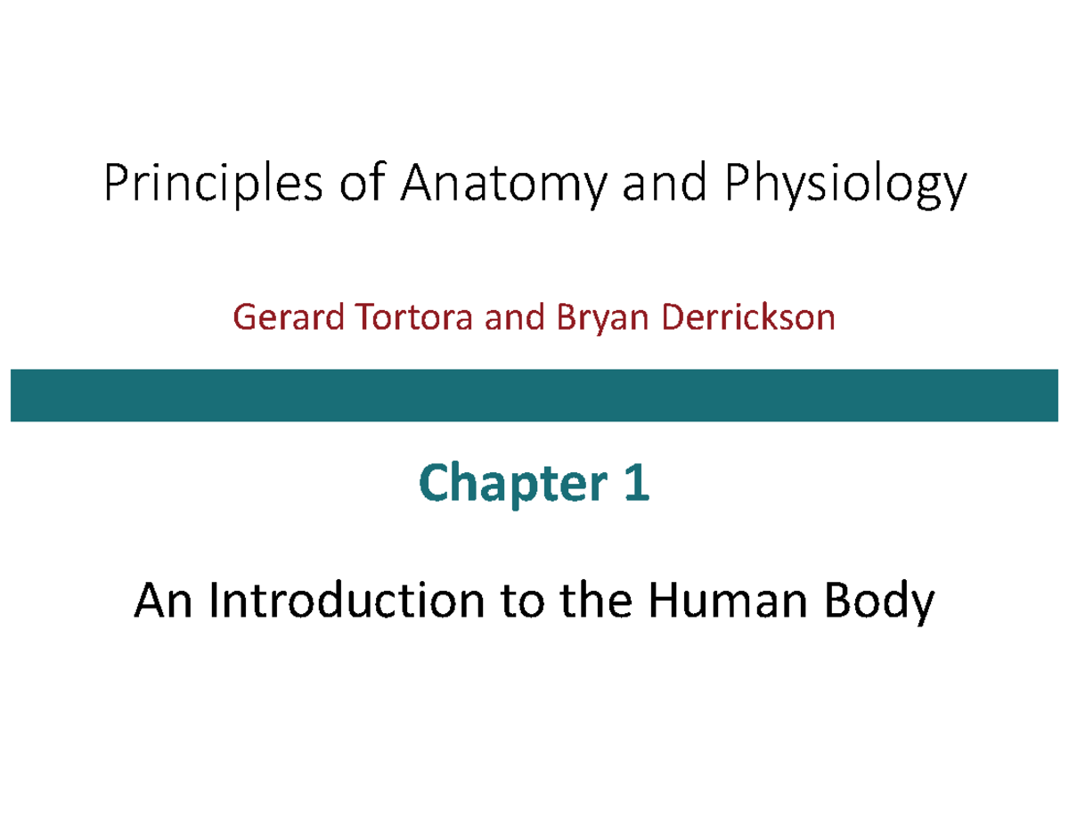 Principles of Anatomy and Physiology: Chapter 1 Overview - Principles ...