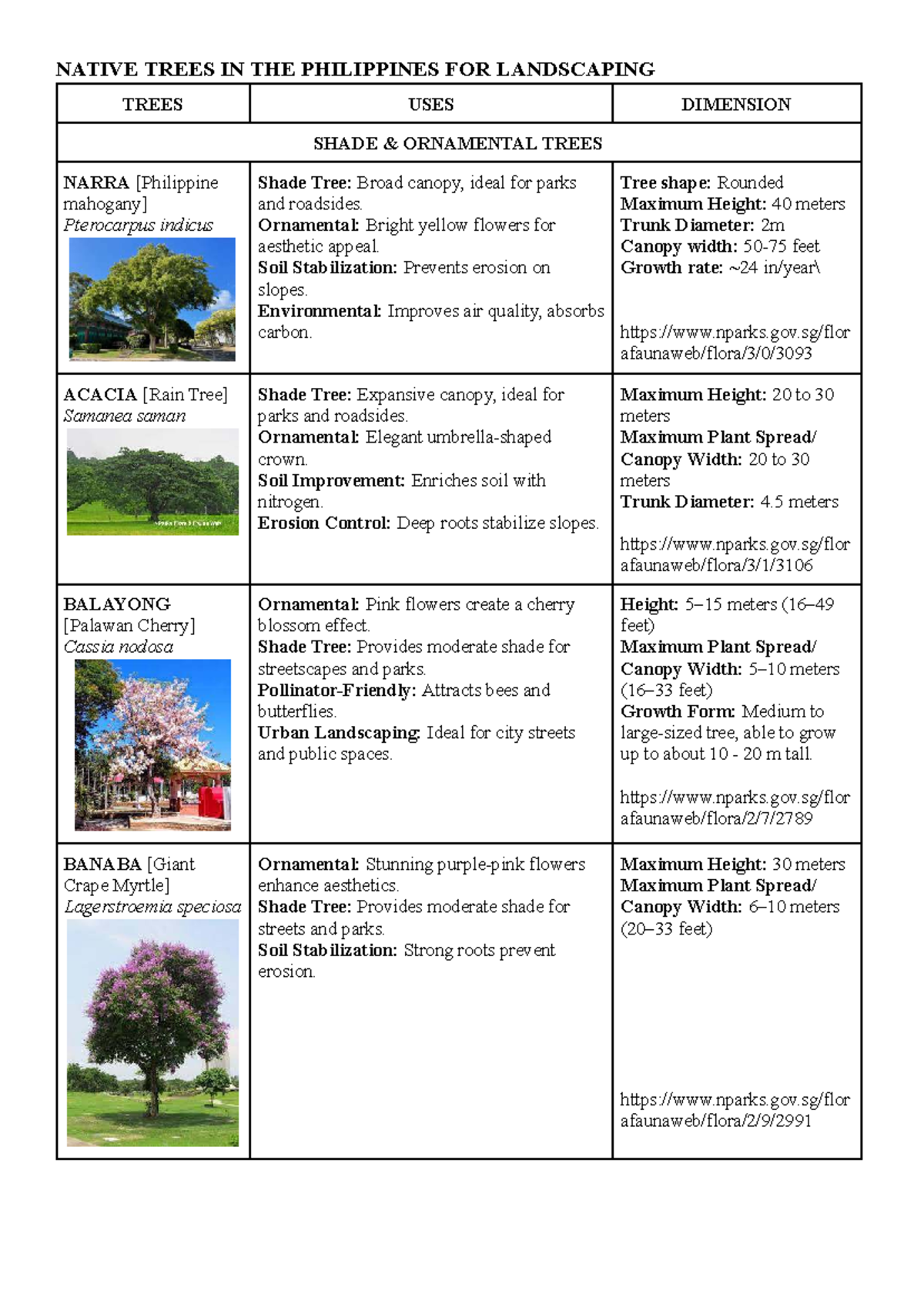 Different Kinds Of Trees With Names And Pictures In The Philippines