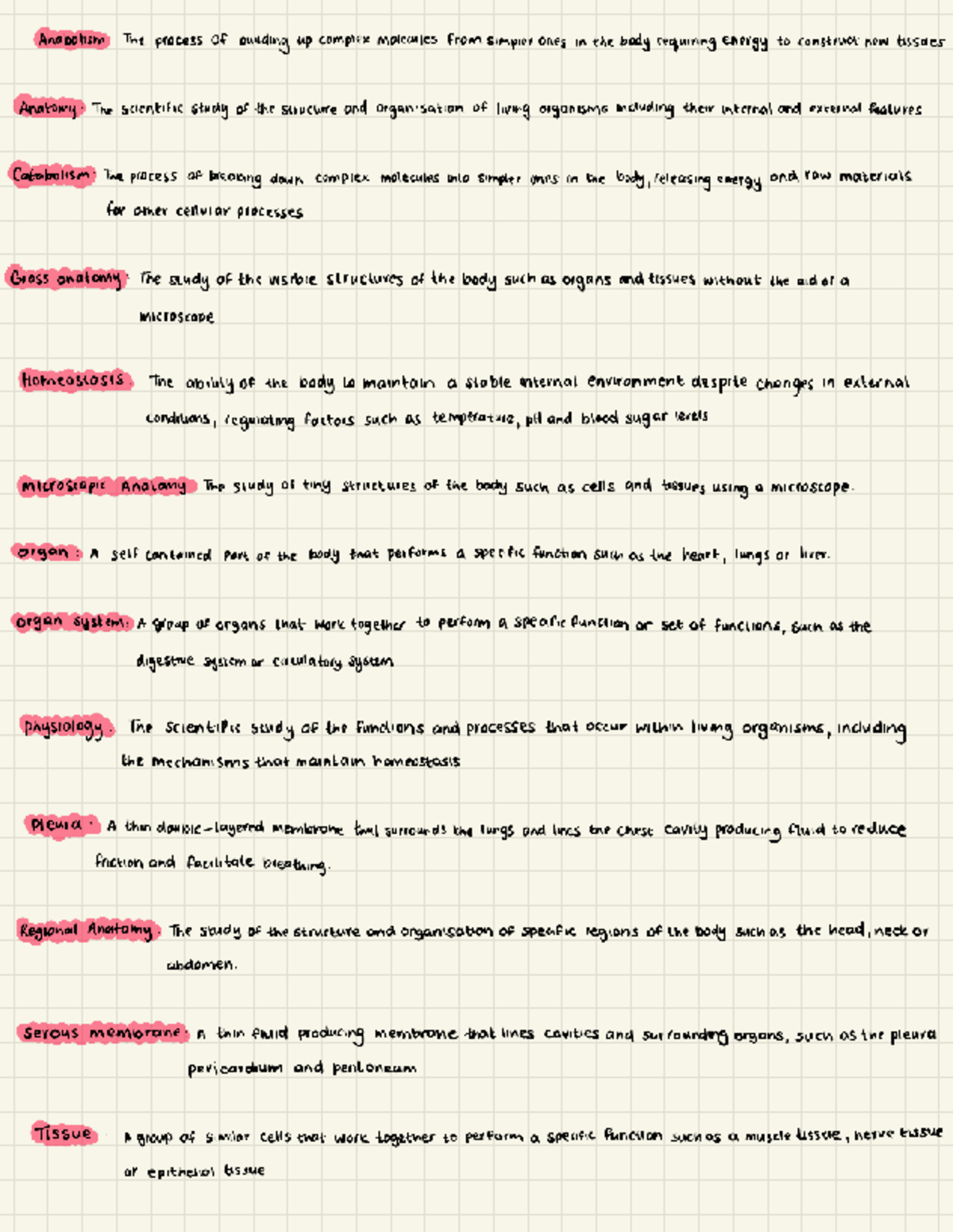 Anatomy 101: Key Terms and Definitions for Anatomy Studies - Studocu