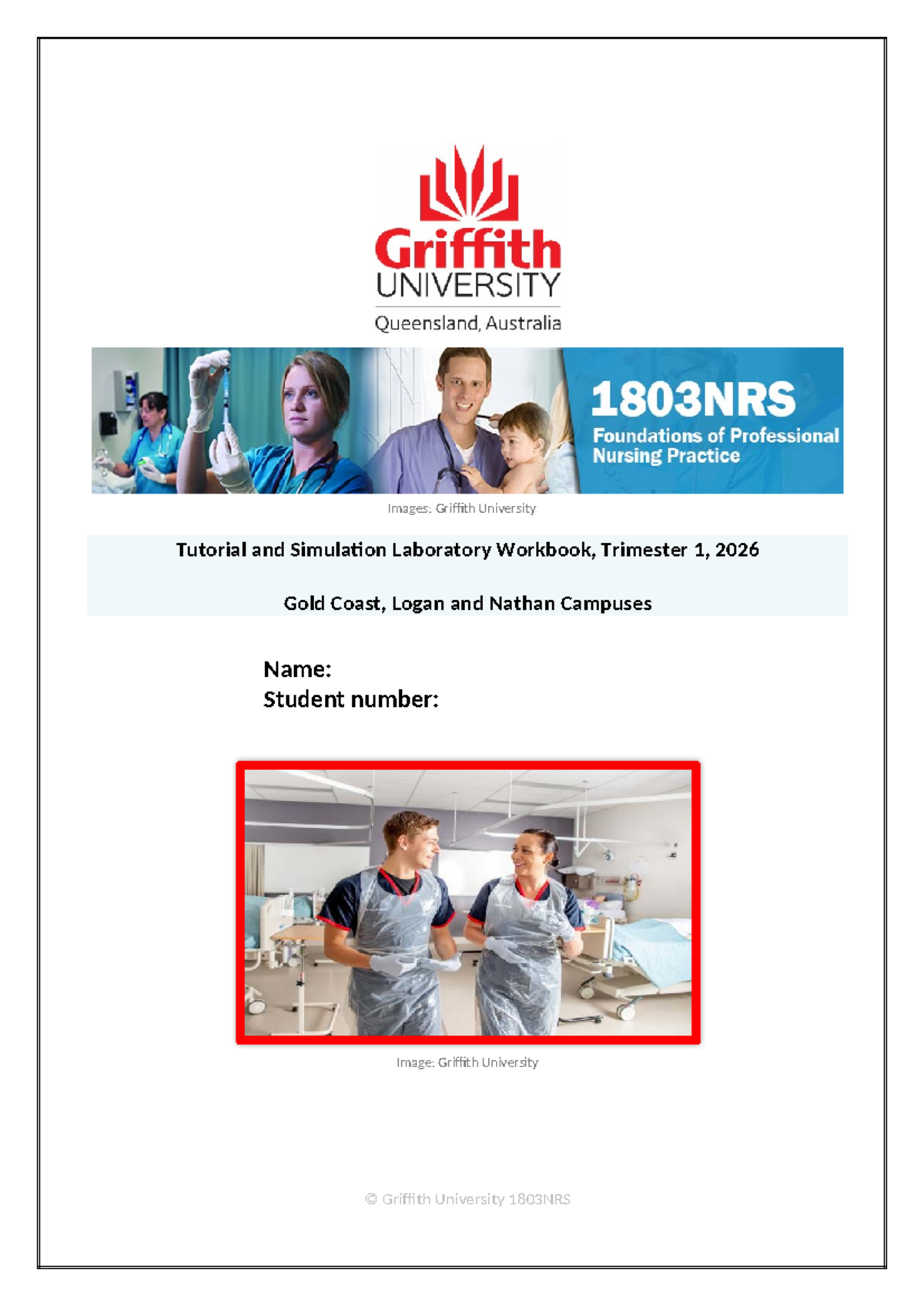 1803NRS: Foundations of Professional Nursing Practice Tutorial & SimLab ...