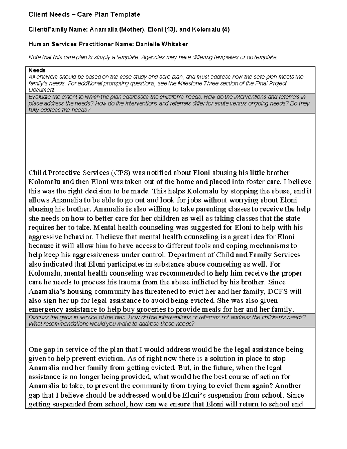 HSE 315 Final Project Care Plan Template for Client Needs Evaluation ...