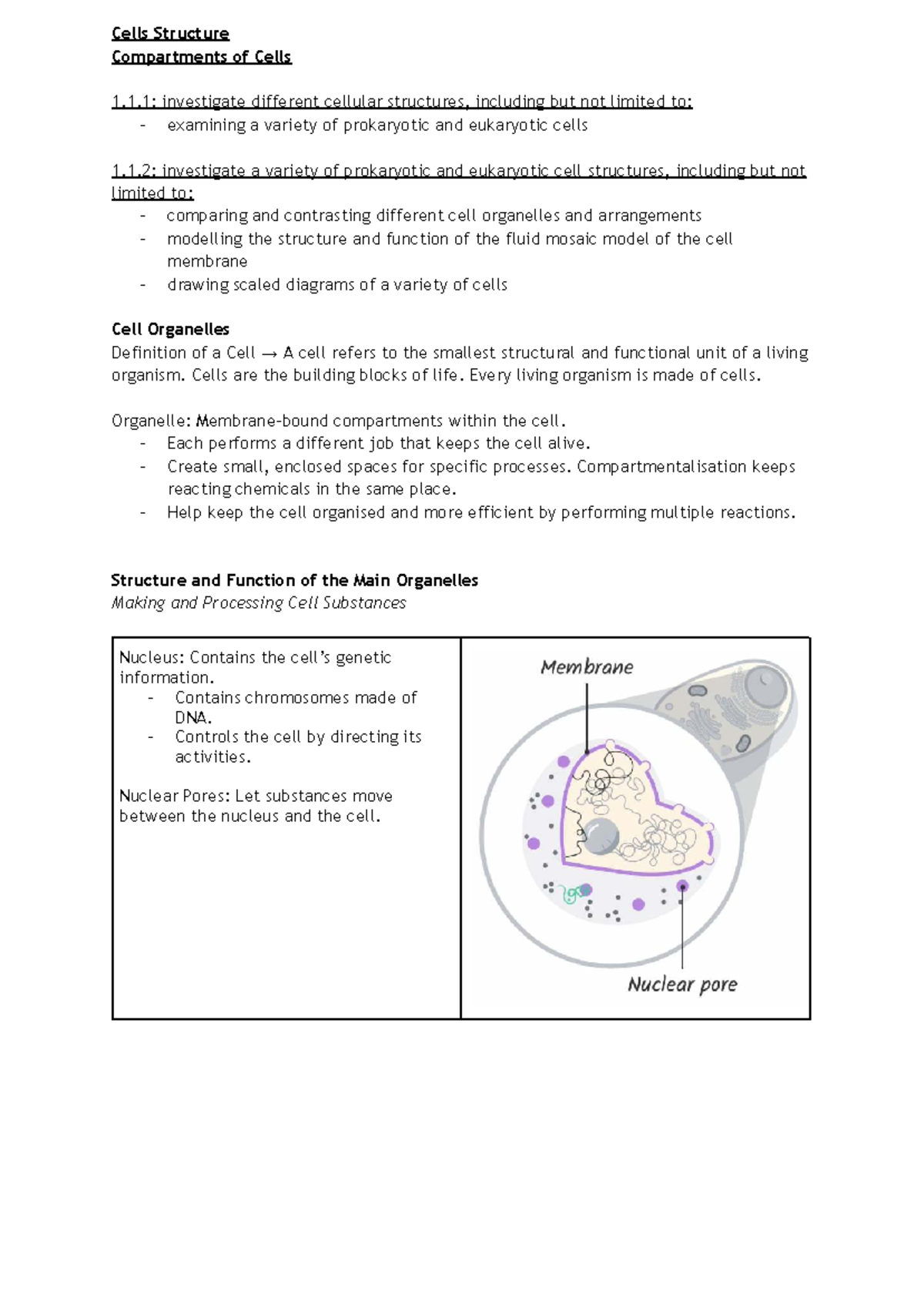 Year 11 Biology: Module 1 - Cell Structure & Function Notes - Studocu