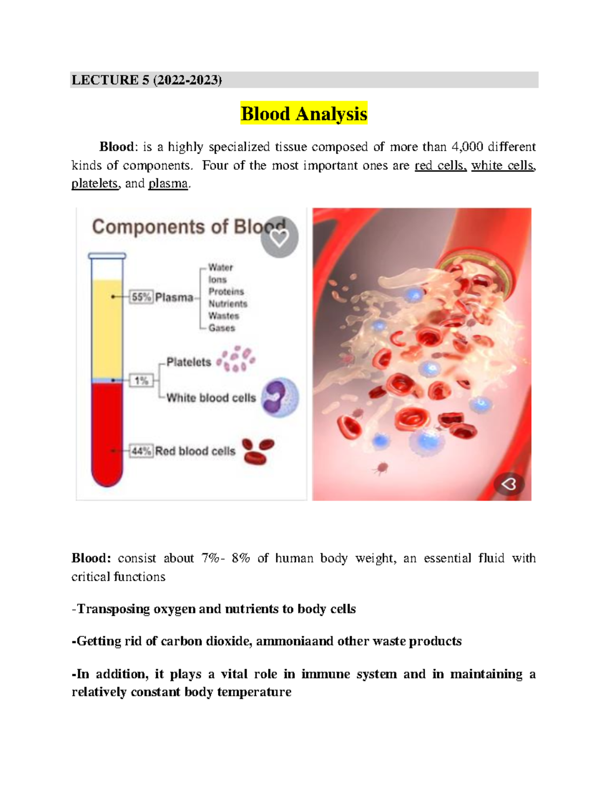 Blood Analysis Lecture 5 (2022-2023): Key Components & Functions - Studocu