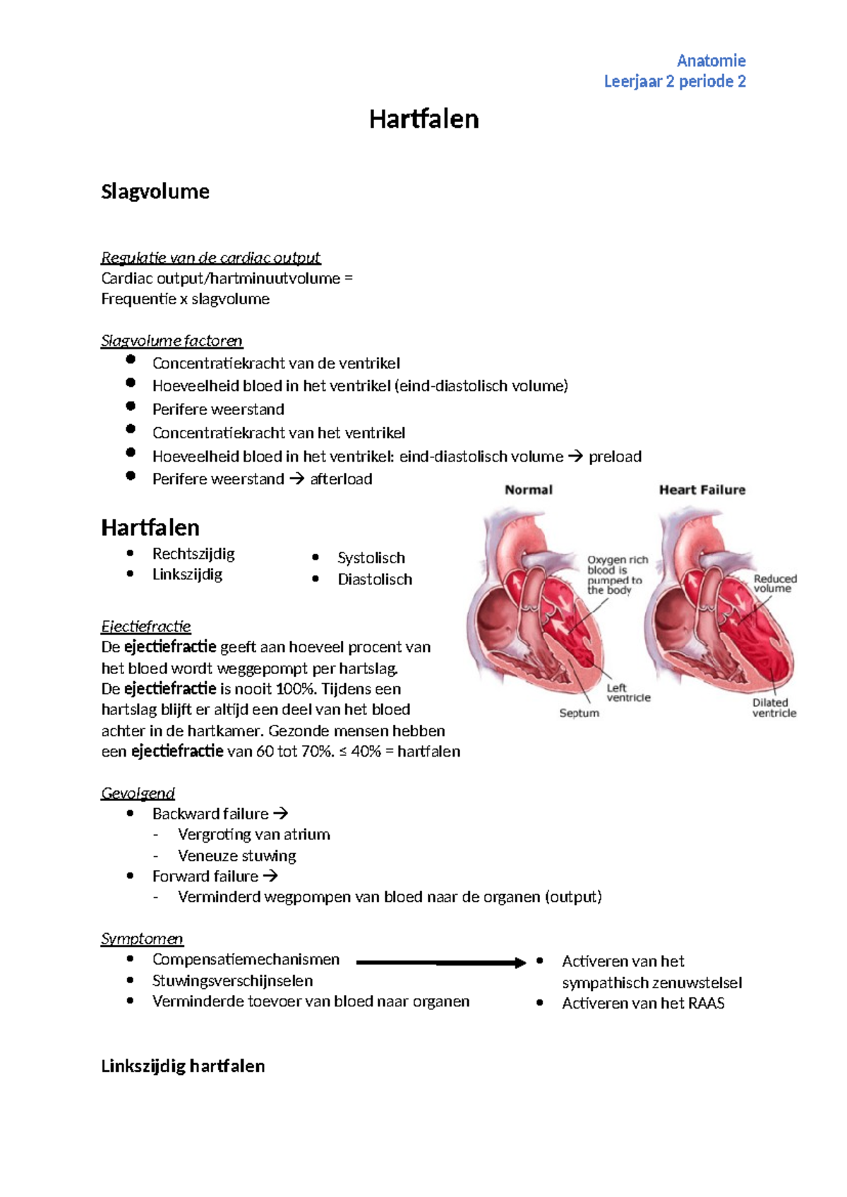 Hartfalen Anatomie: Leerjaar 2 Periode 2 Overzicht en Diagnostiek ...
