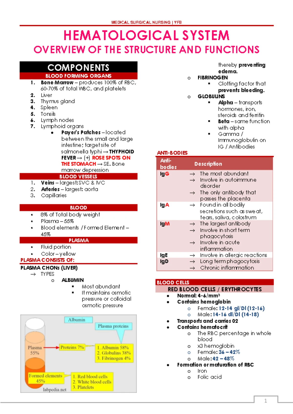 MS EARS - Sensory System and Disorders Notes - Studocu