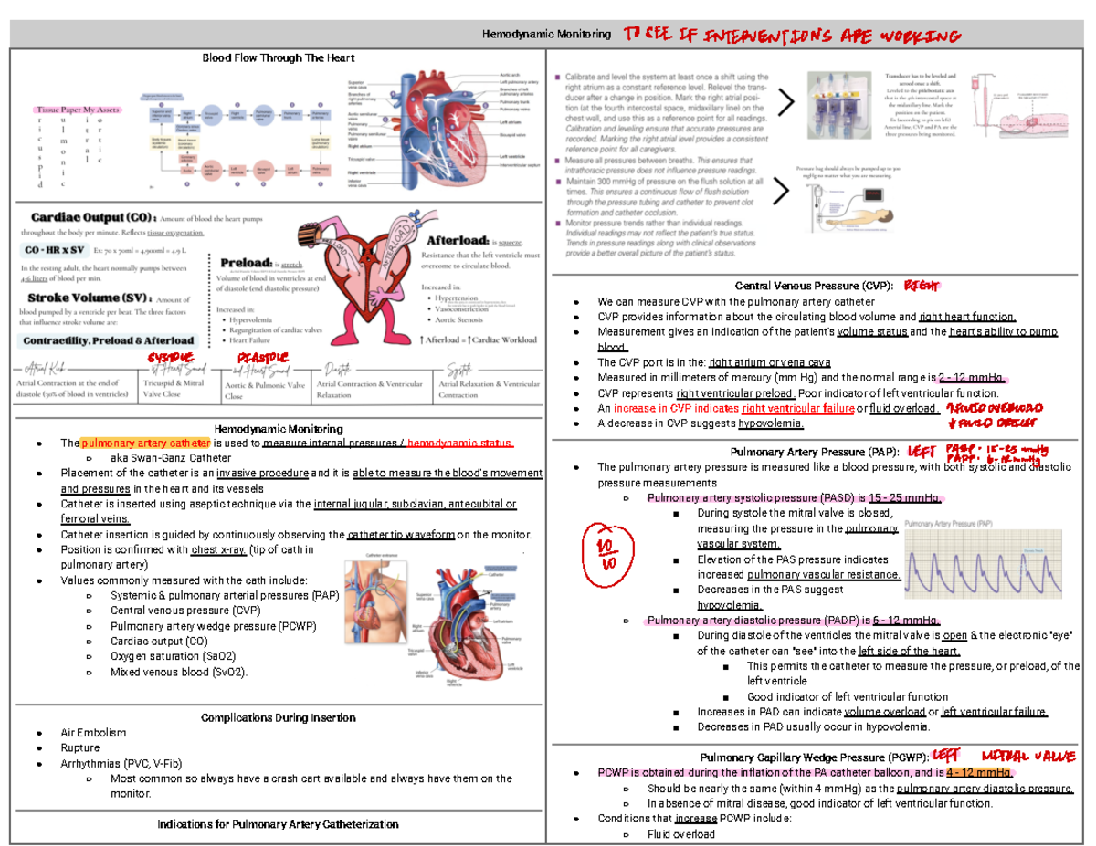 EXAM 1 405 - Notes - Hemodynamic Monitoring Blood Flow Through The ...