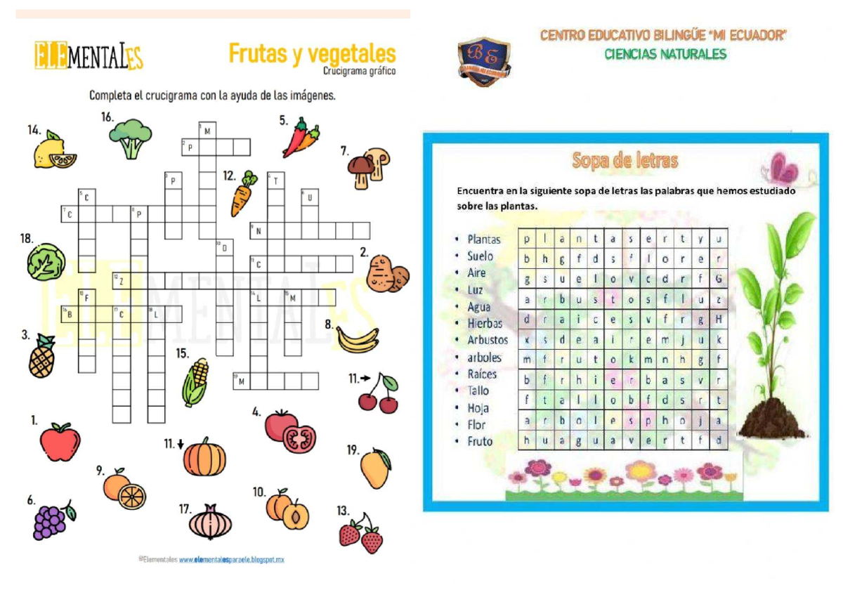 Crucigrama De Frutas Y Vegetales Resuelto