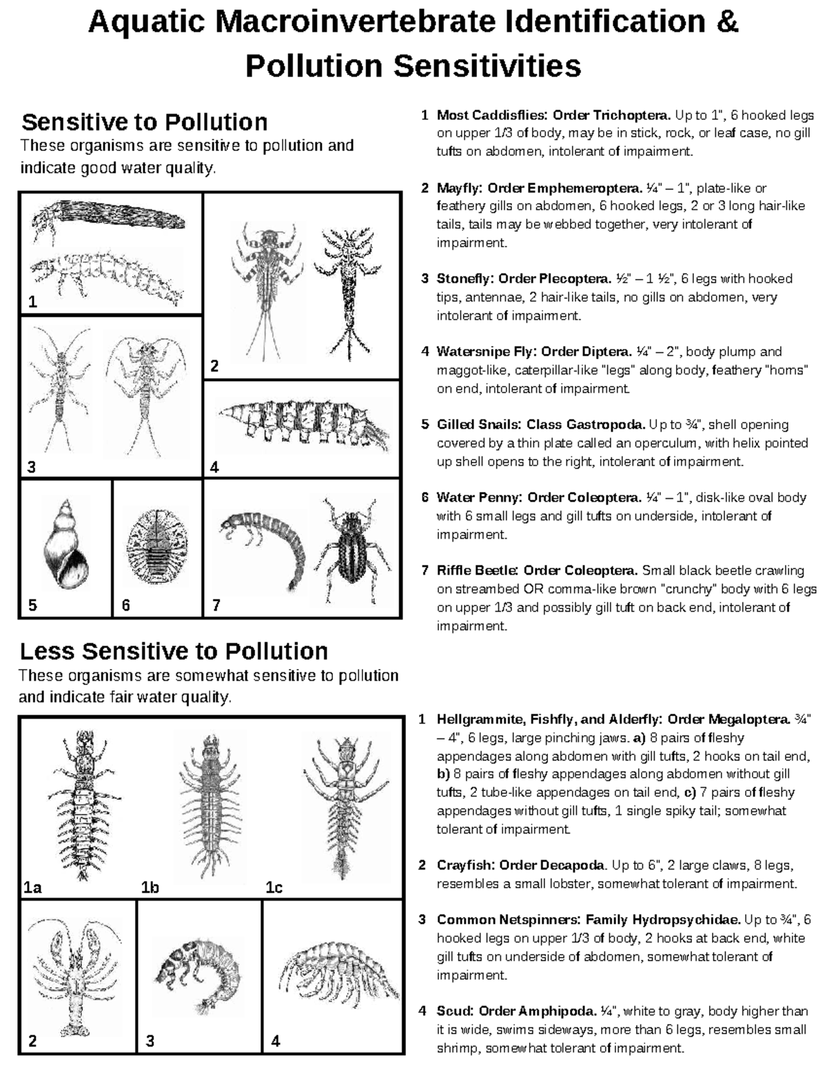 Aquatic Macroinvertebrate Pollution Sensitivities (BIO 101) - Studocu