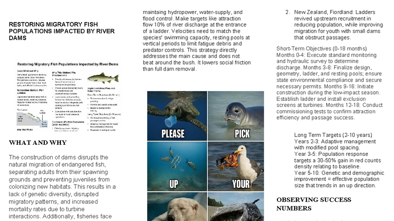 Restoring Migratory Fish Populations: Effective Strategies for River ...