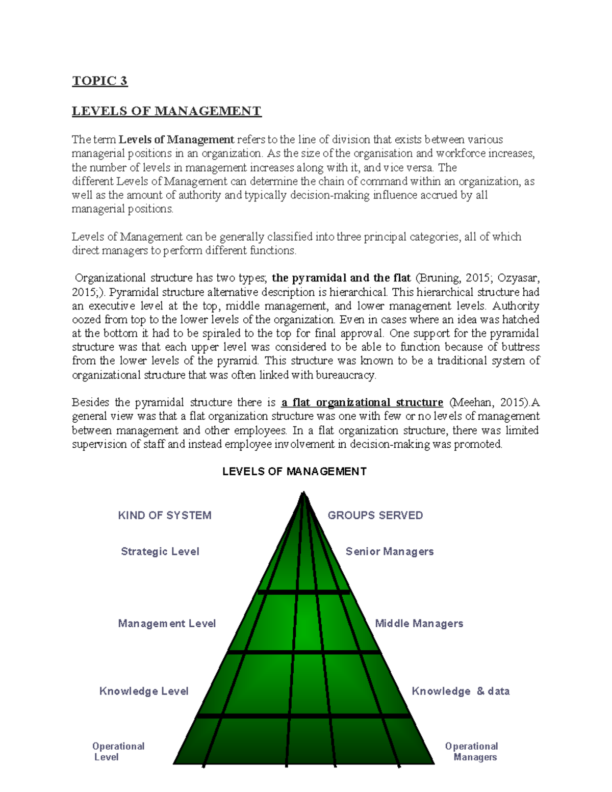 Levels of Management: Topic 3 Overview and Analysis - Studocu