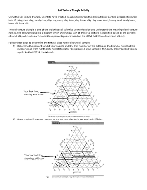 Lab 4 - Activity 2 - Igneous Rock Identification - Name: Aryan Islam TA ...