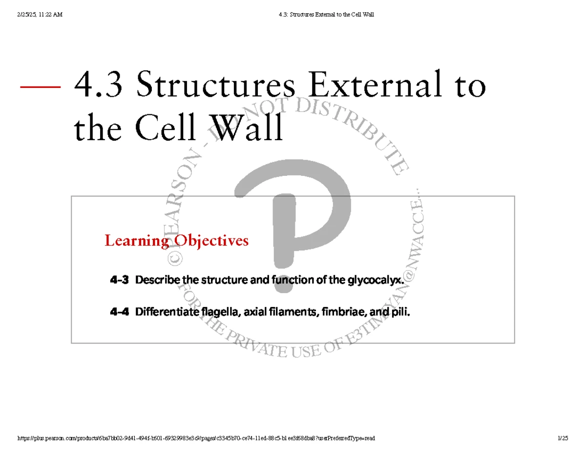 Comprehensive Guide to Bacterial Cell Structure & Function - Strategies ...
