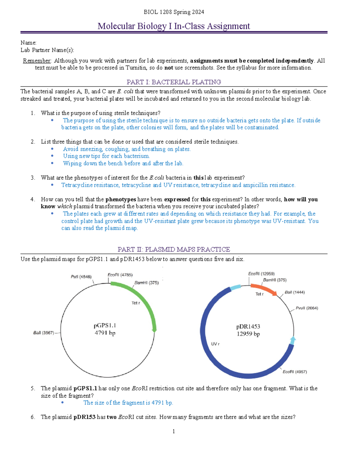 Molecular Biology I In-Class Assignment (BIOL 1208) - Spring 2024 - Studocu