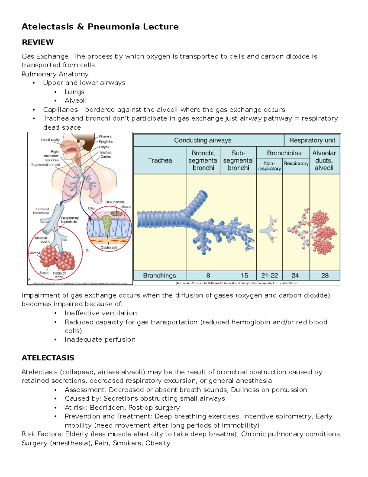 Atelectasis and Pneumonia Lecture Review: Gas Exchange Insights - Studocu