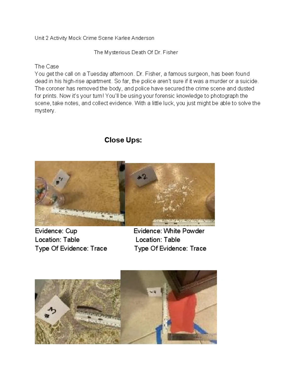 Unit 3 Forensic Science 1 Activity: Analyzing Mock Crime Scene Evidence ...