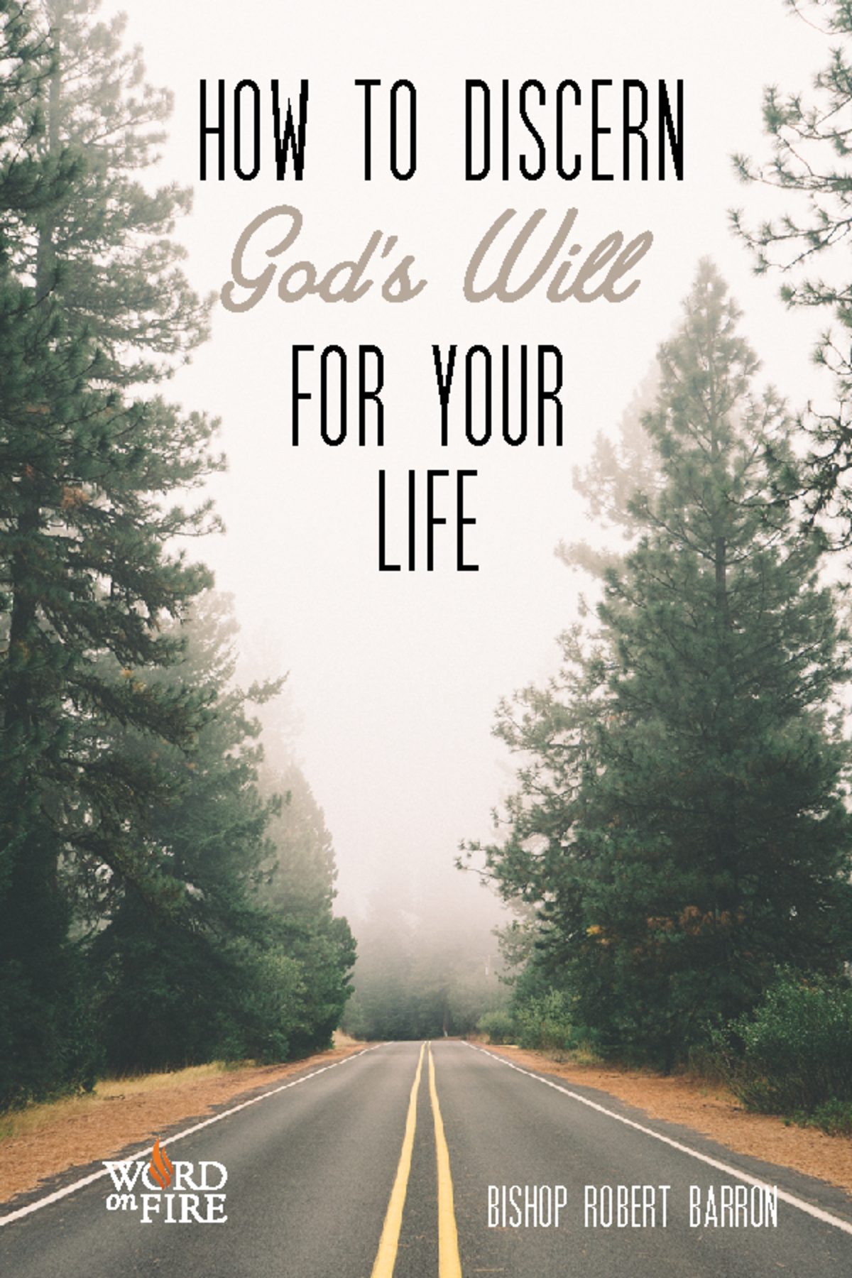 How to Discern God’s Will in Your Life: Insights by Bishop Barron - HOW ...