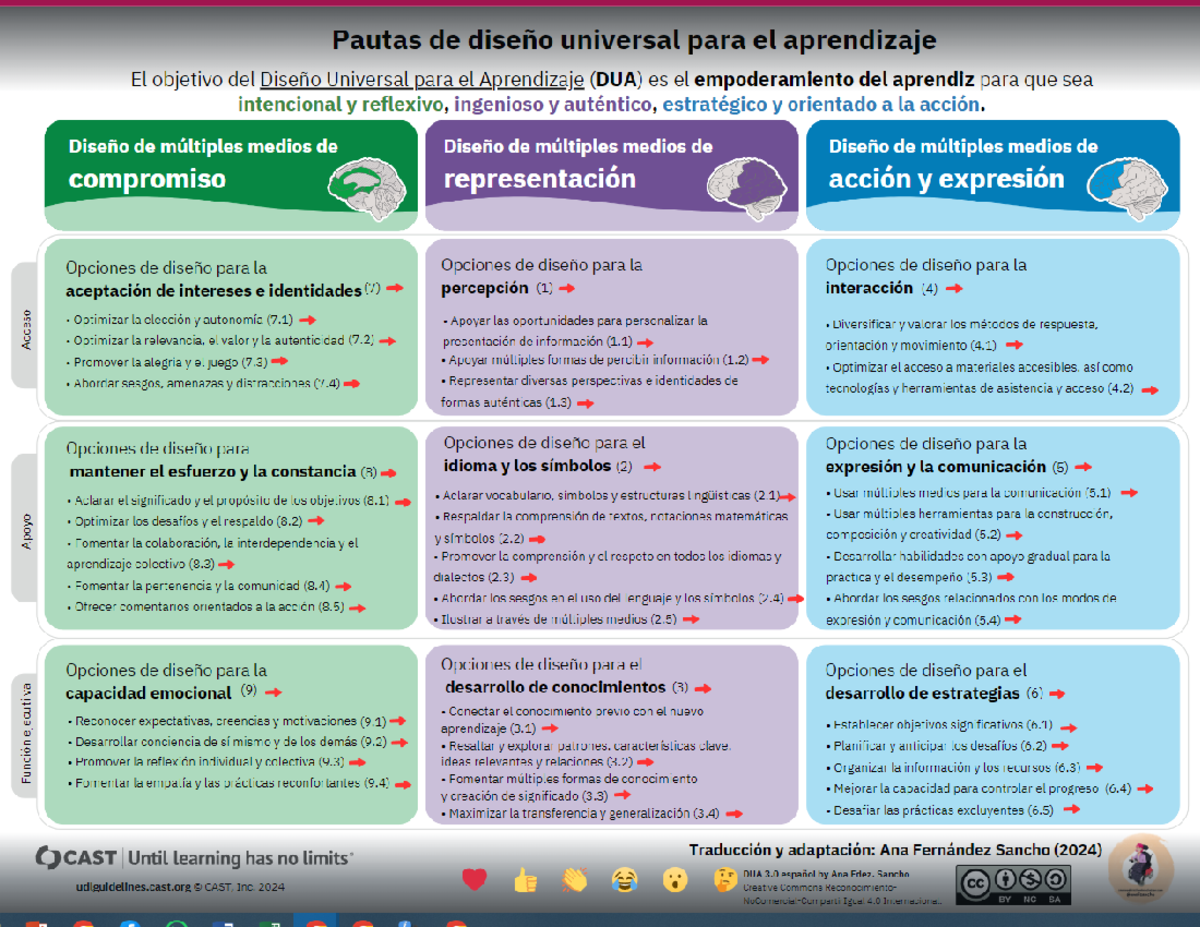 Pautas de Diseño Universal para el Aprendizaje (DUA) 2024 - Studocu