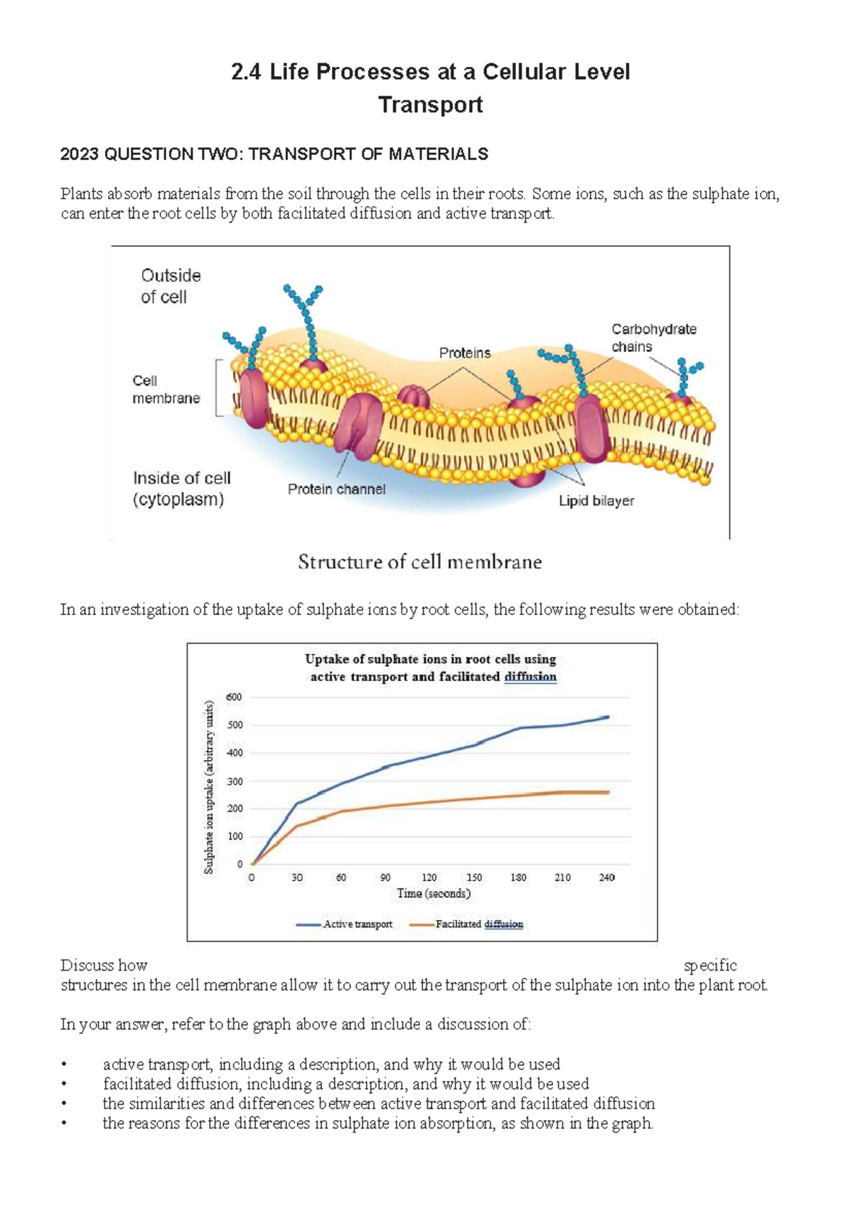 2.4 NCEA Exam Notes: Transport Mechanisms in Cells - Studocu