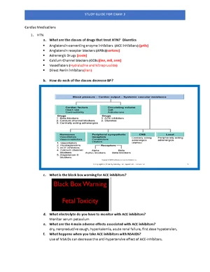 Pharmacology Basics: Study Guide for Exam 1 (PHARM 101) - Studocu