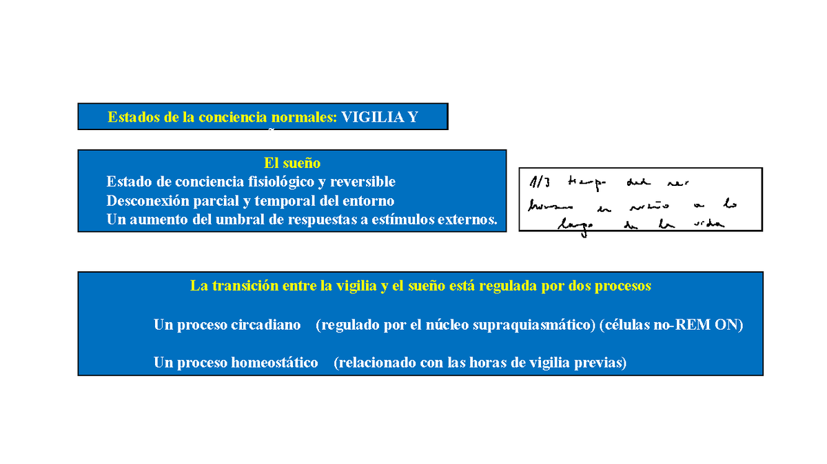 07+Sue%C3%B1o+Vigilia - La transición entre la vigilia y el sueño está ...