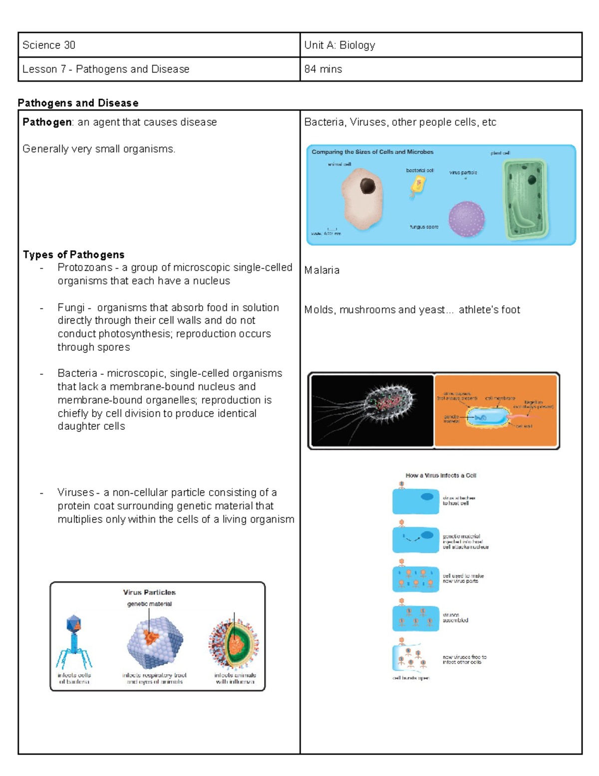 Science 30: Pathogens and Disease Review with Practice Problems - Studocu