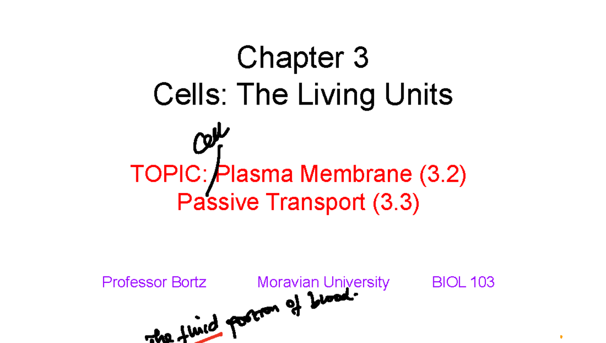 BIOL 103 Lecture Notes: Chapter 3 - Plasma Membrane & Transport - Studocu