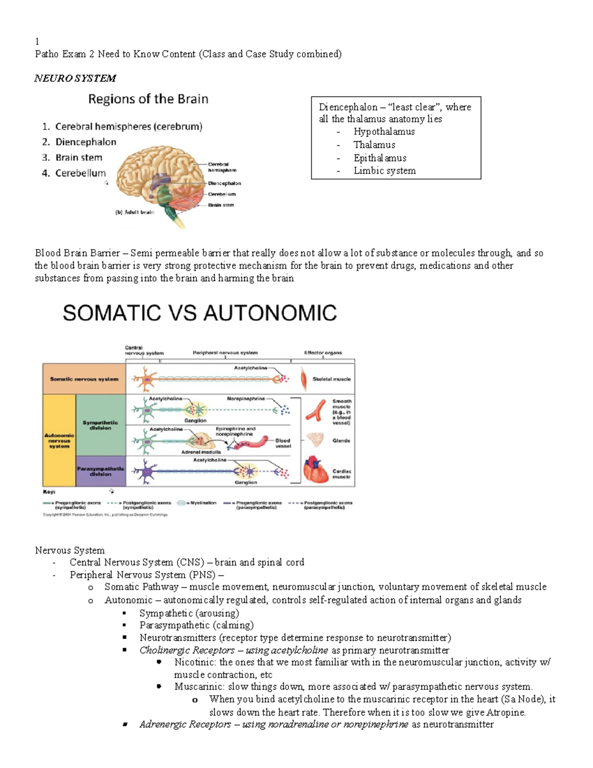 Pathophysiology Exam 2 Study Guide (Class & Case Study Insights) - Studocu