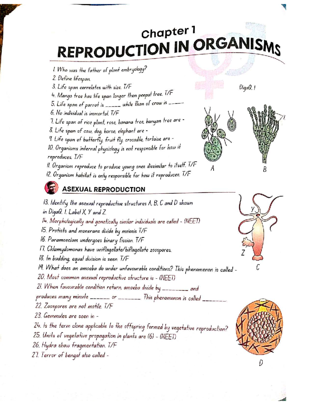 Biology Class 12: Reproduction in Organisms (NEET) - Study Notes - Studocu