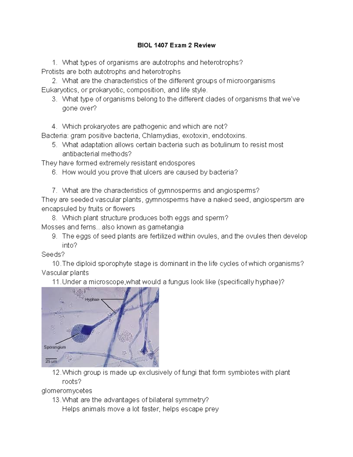 Biol 1407 Exam 2 Review Notes Organisms Characteristics Studocu