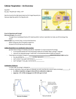 Unit 2A-Summary Chart - biooooooooo - Unit 2A: Chemical Equilibrium ...