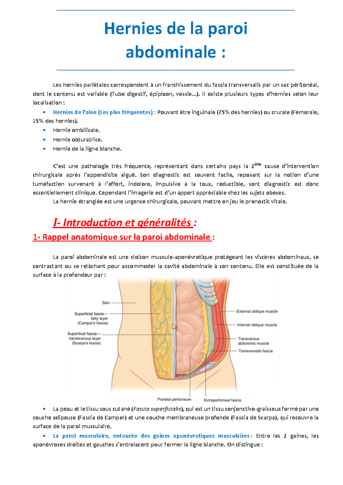 hernies-de-la-paroi-abdominale-anatomie-et-complications-clinique