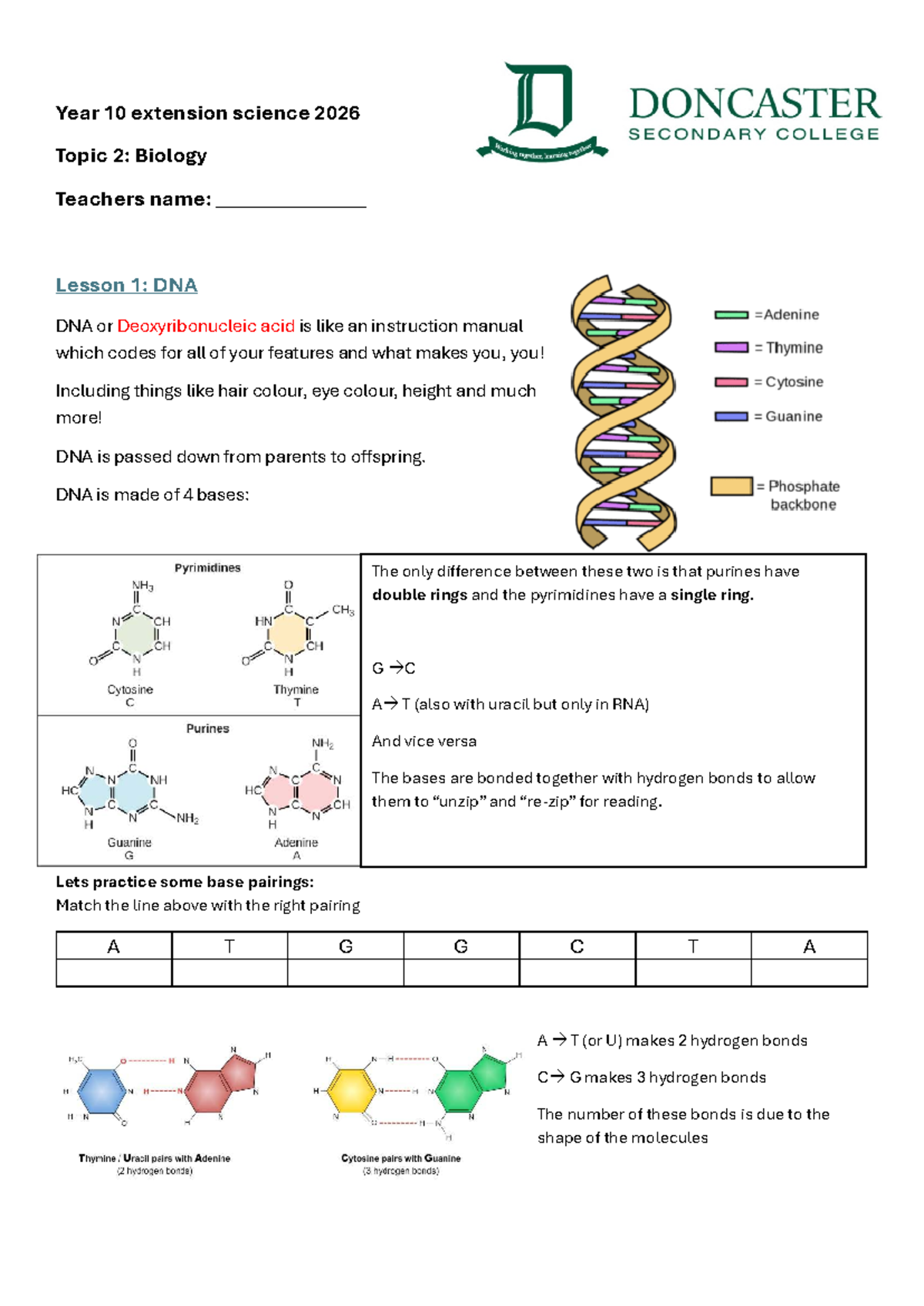 Year 10 Extension Science 2026: Biology Final Exam Notes on DNA - Studocu