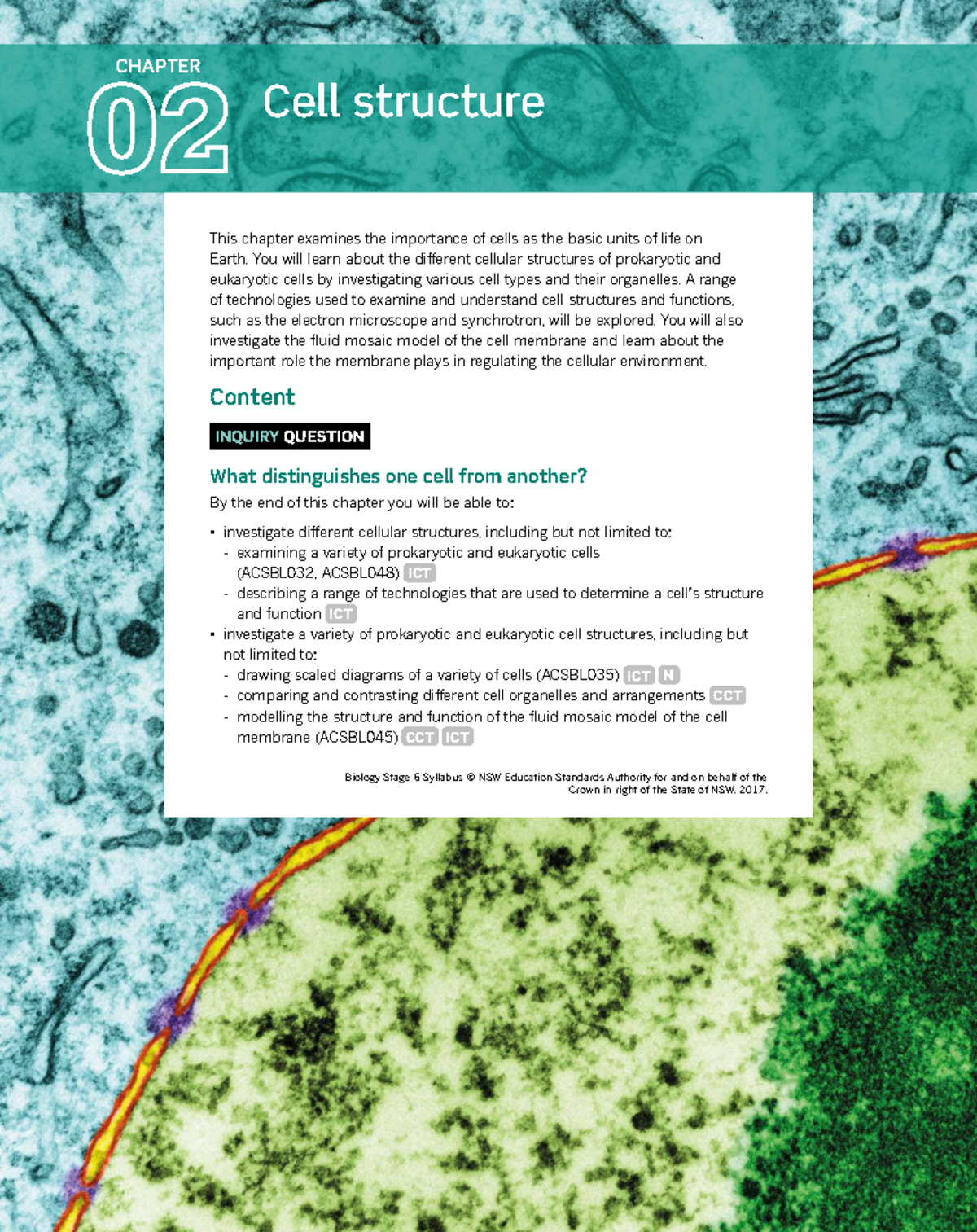 CHAPTER 2: CELL STRUCTURE - Understanding Prokaryotic and Eukaryotic ...