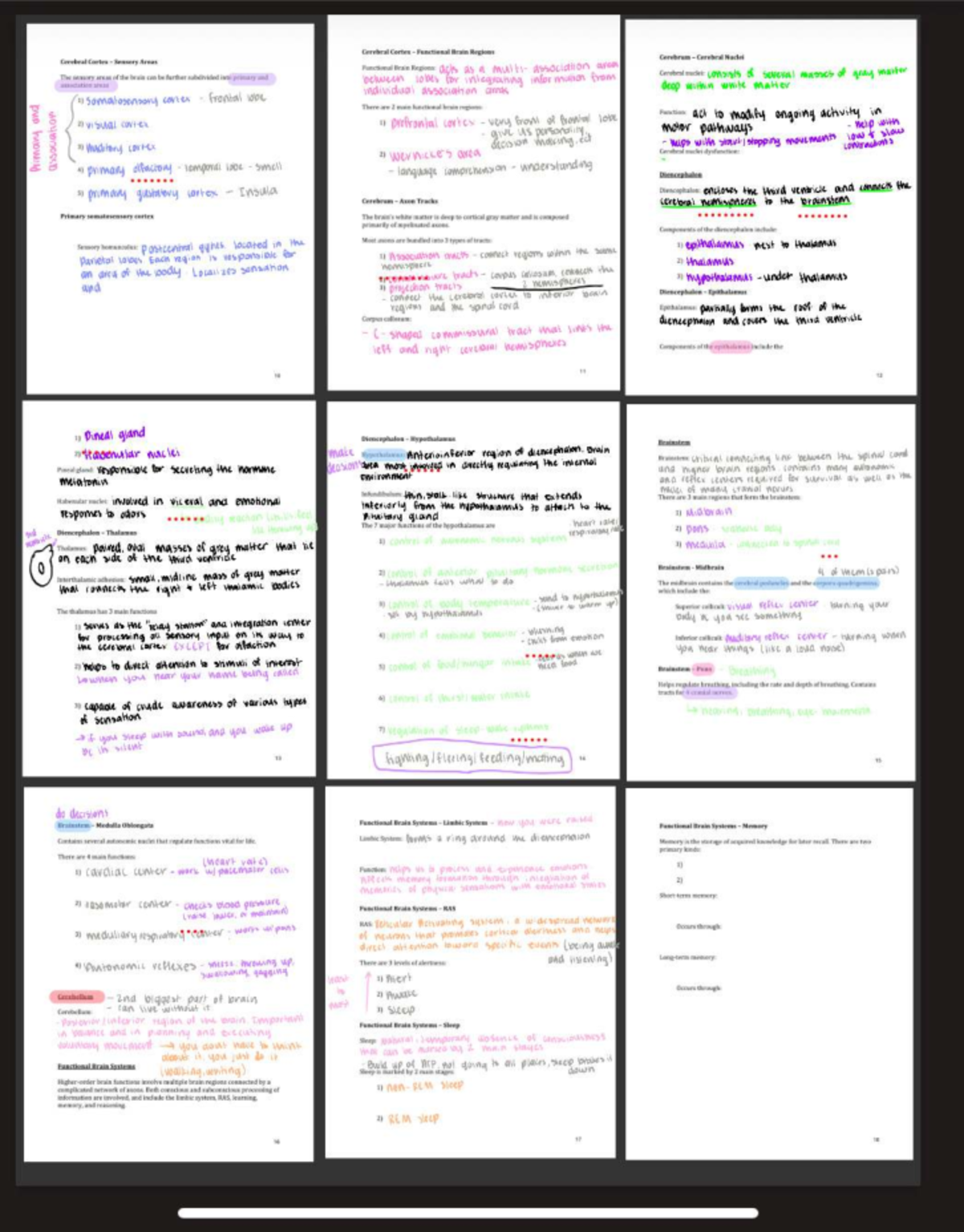 Final Exam Study Guide for Course XYZ: Brain Regions and Functions ...