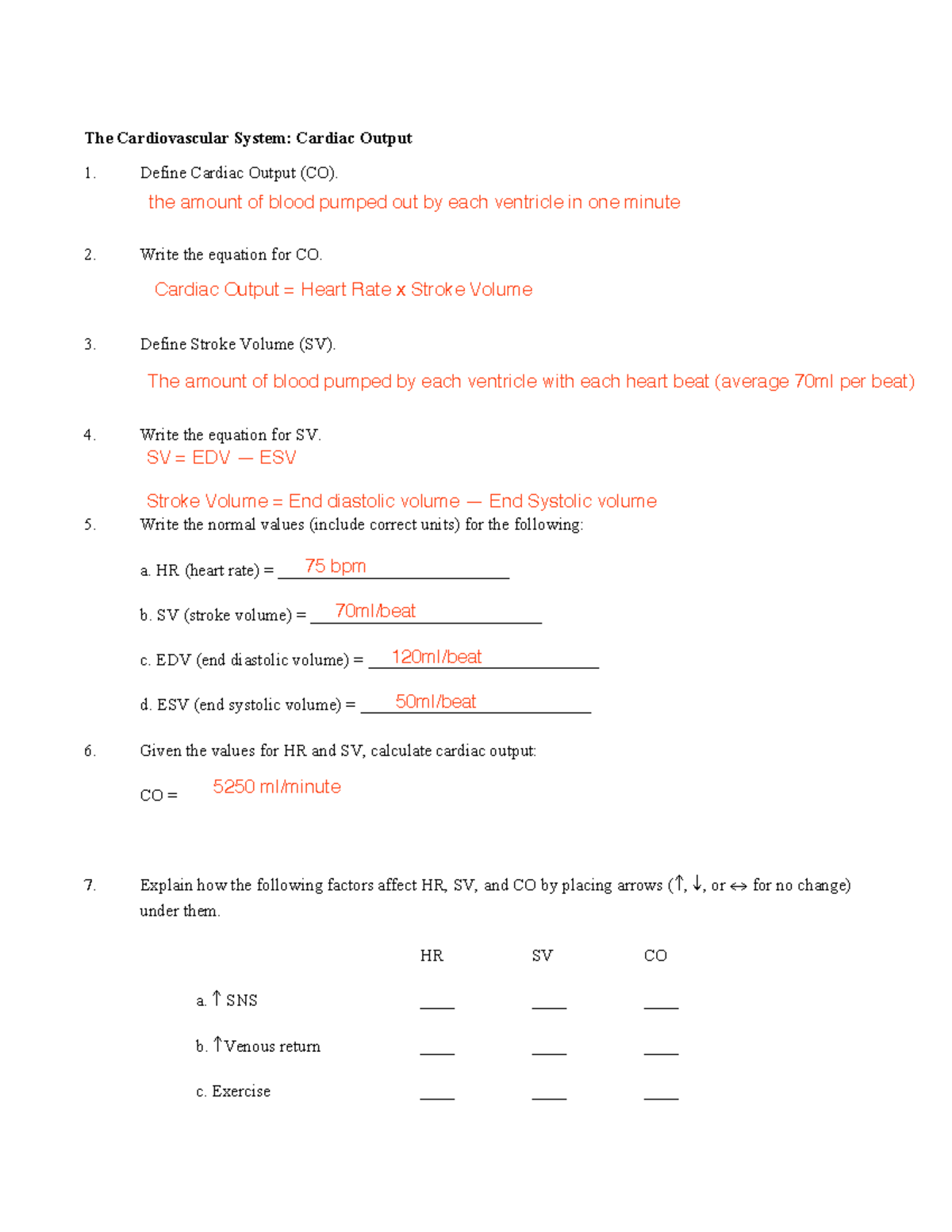Revision questions cardio topic 5 - The Cardiovascular System: Cardiac ...