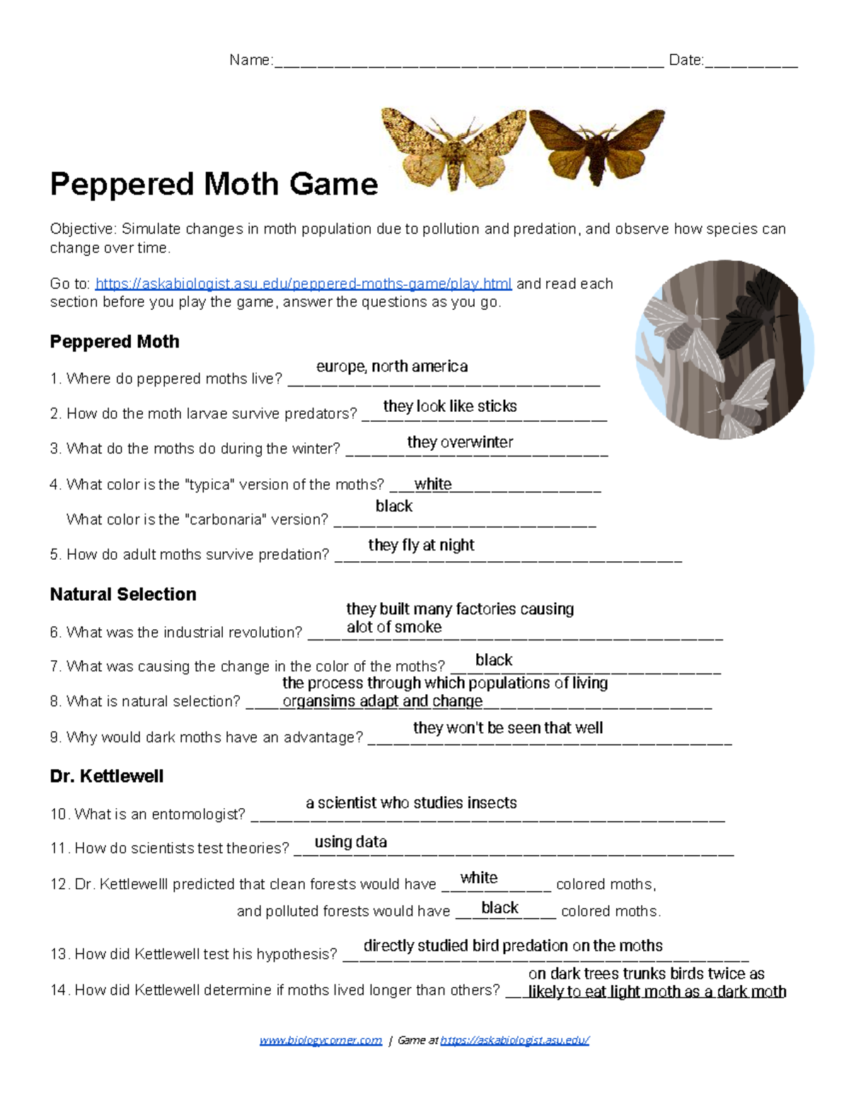 Peppered Moth Game (1) (1).pdf joshua huie - Name: - Studocu