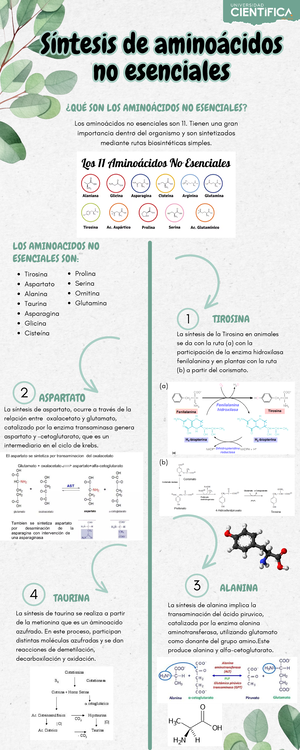 Especificaciones Tecnicas Carayoc - OBRA: “CREACION DE LA AGENCIA ...