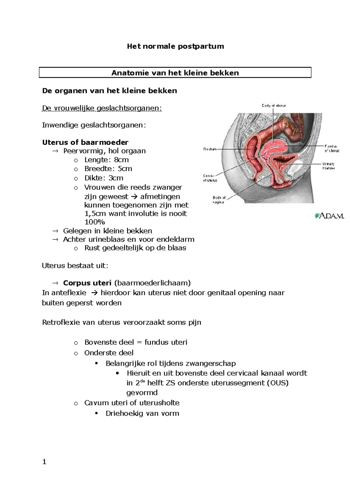 Lactatie Vaardigheden en Postpartum Zorg PP 101: Essentiële Instructies ...