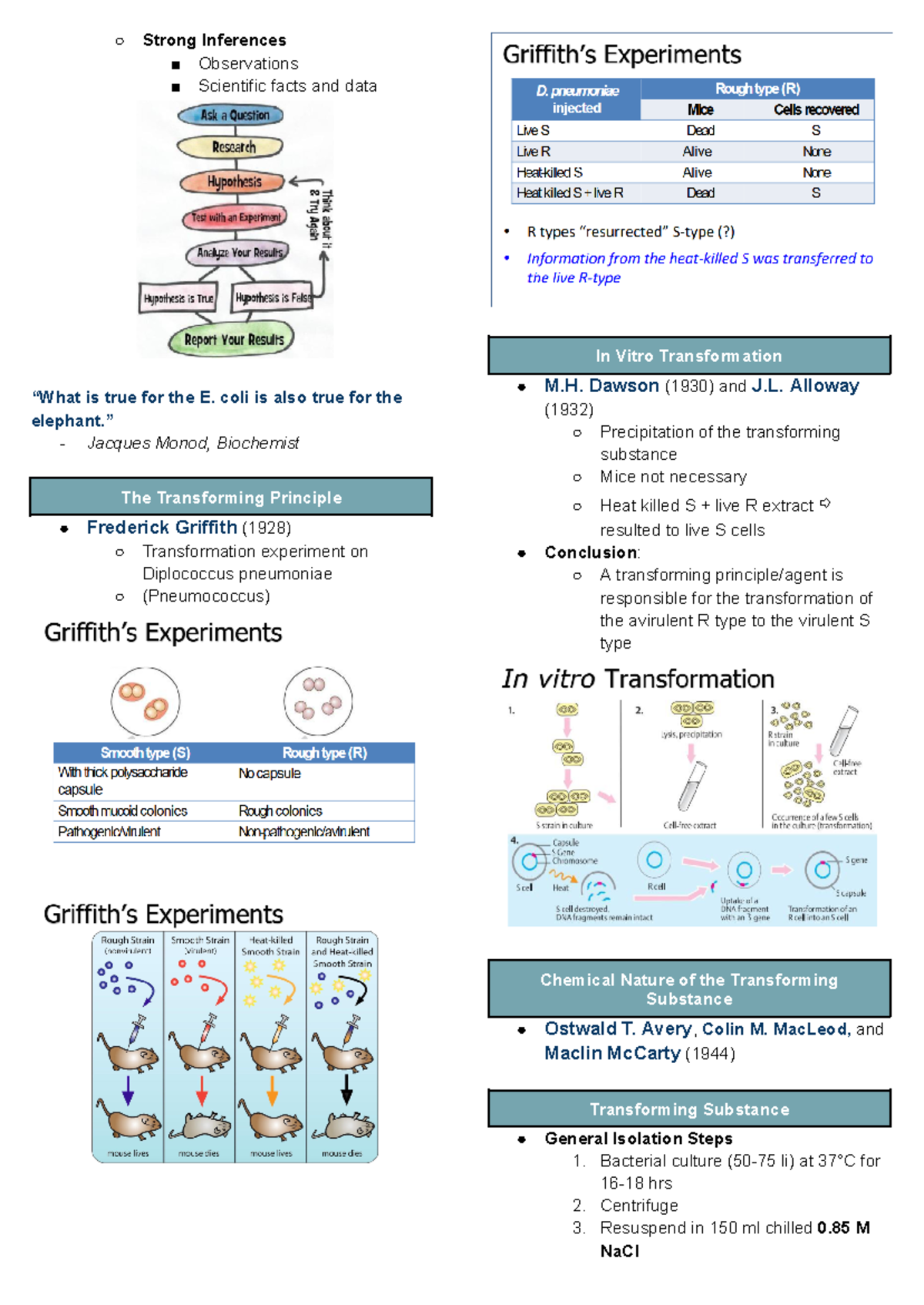 Mol Bio 3 - Introduction - Strong Inferences Observations Scientific ...