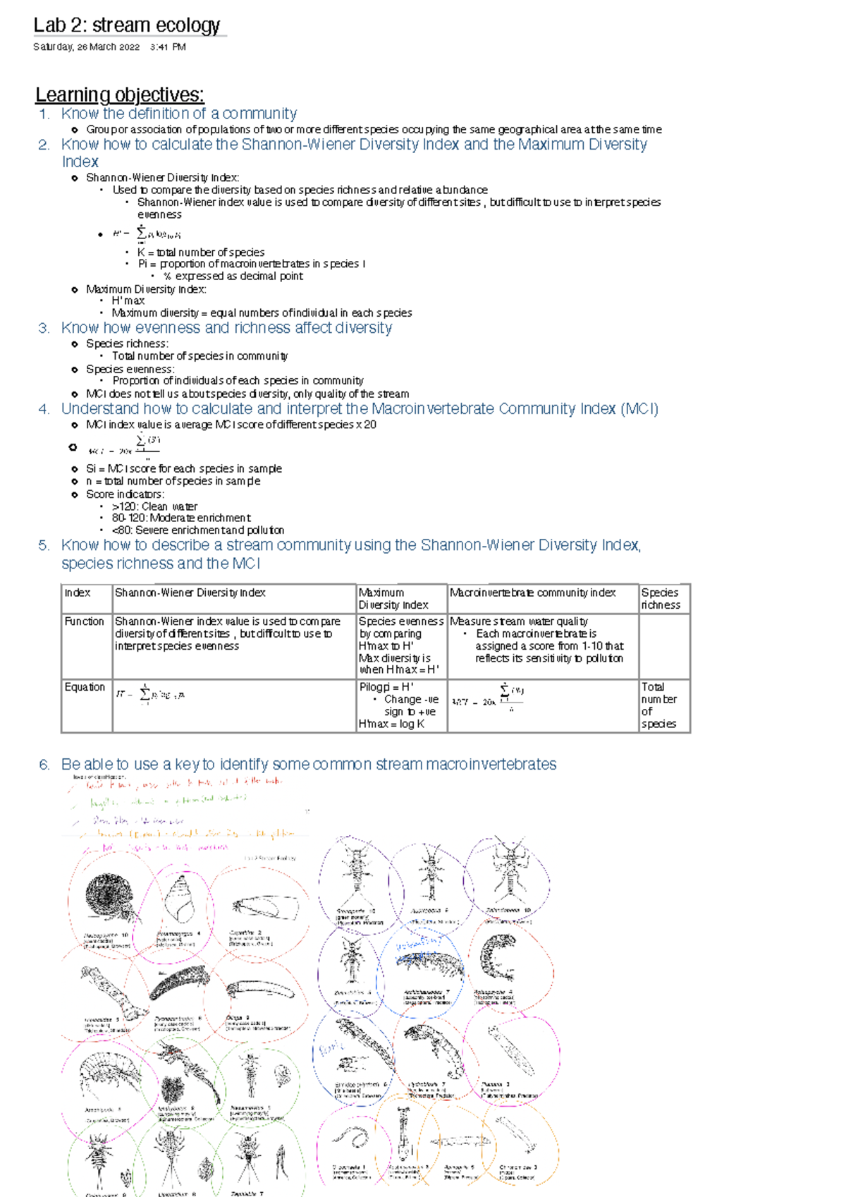 Lab 2: stream ecology - Lab 2: stream ecology Saturday, 26 March 2022 3 ...