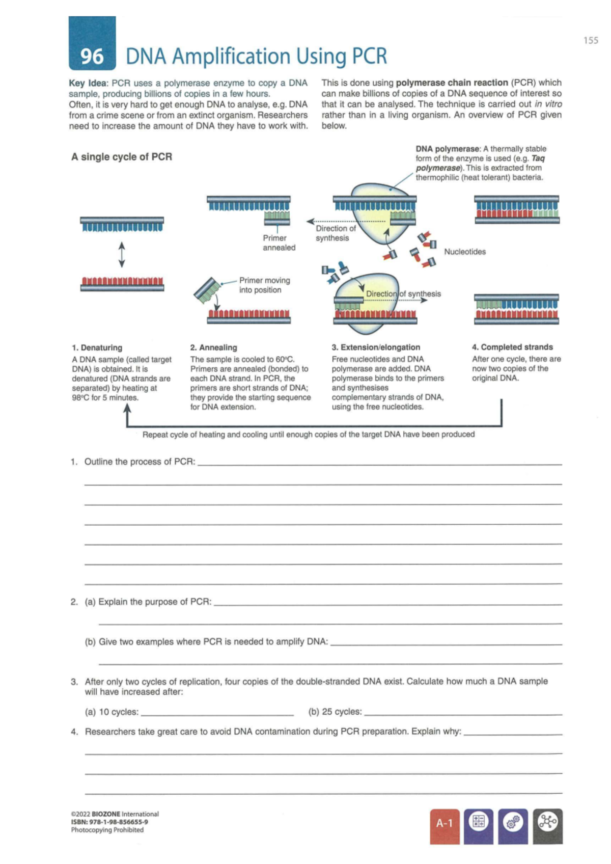 DNA Sequencing and Profiling: Key Concepts and Techniques (BIOZONE ...