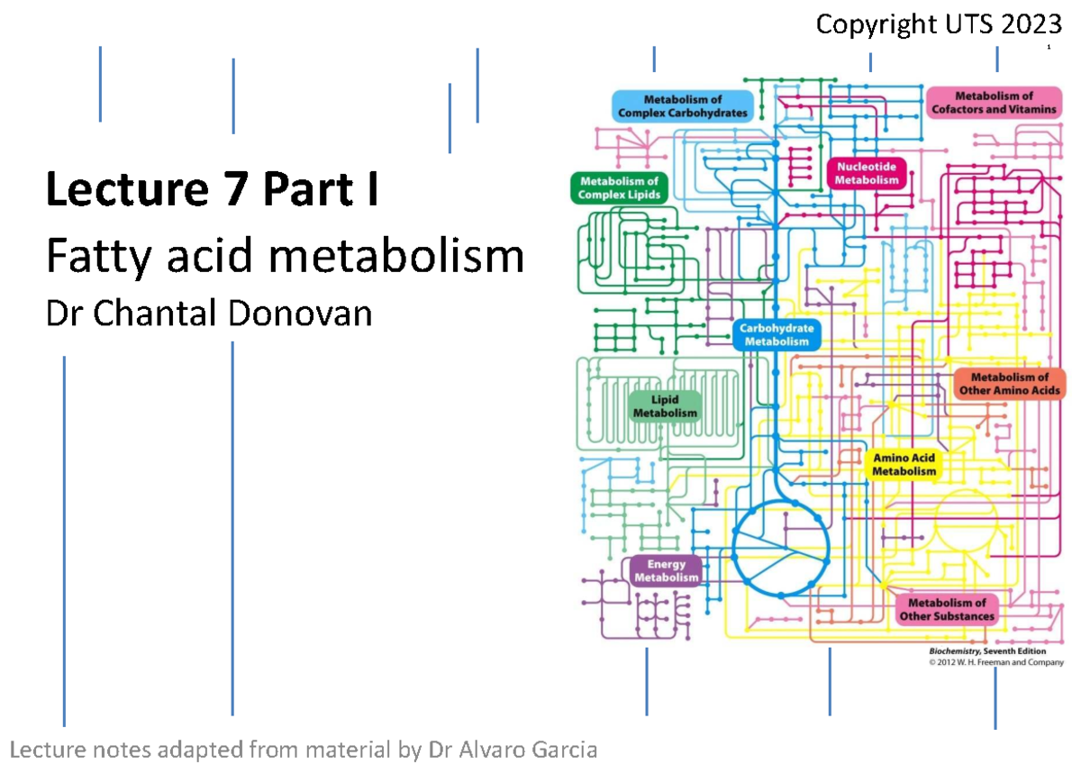 UTS 2023 Lecture 7: Fatty Acid Metabolism in Metabolic Biochemistry ...