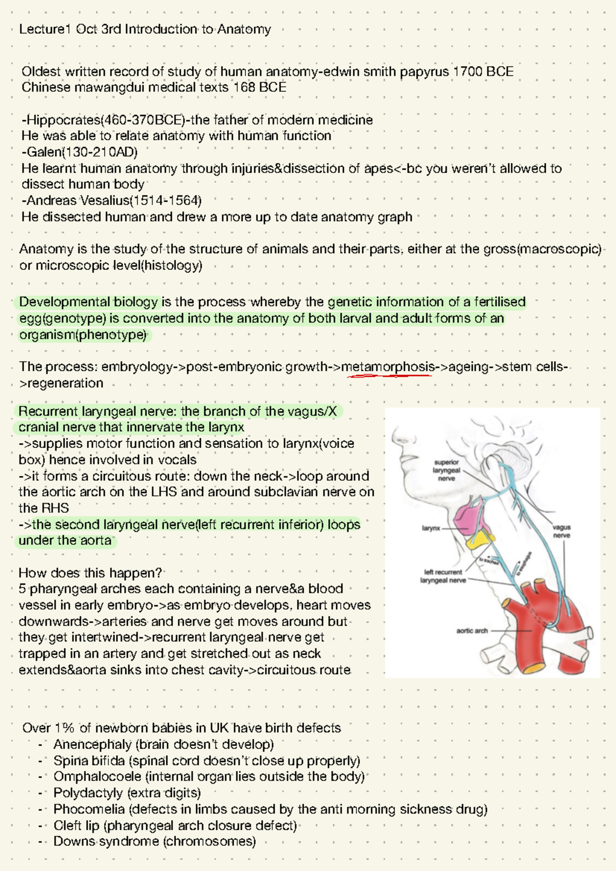 ANAT0001 Week 1 Lecture Notes: Introduction to Anatomy & Developmental ...