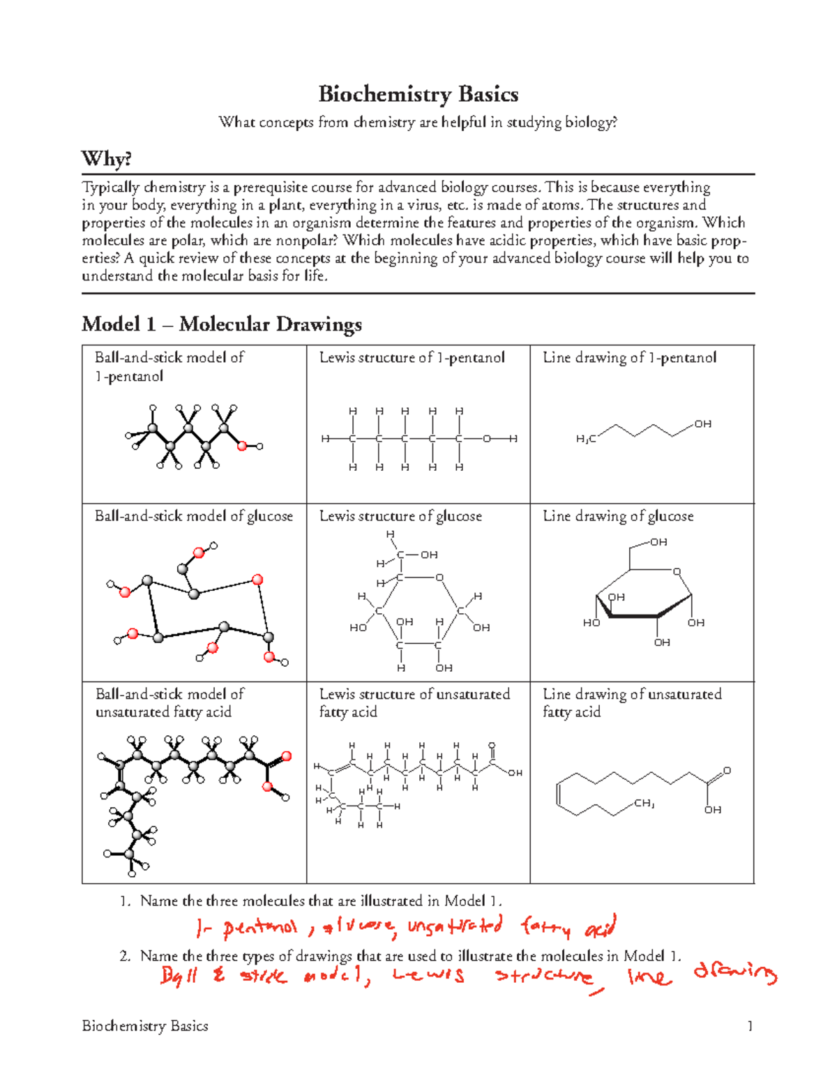 Biochemistry Basics: Understanding Molecules & Their Structures - Studocu