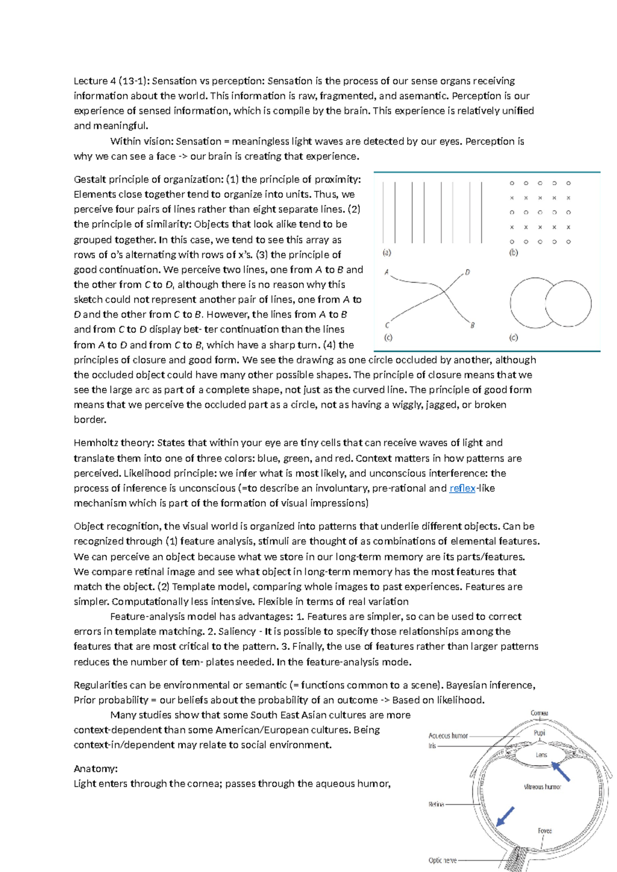 Psychology 101: Lecture Notes on Sensation and Perception Concepts ...