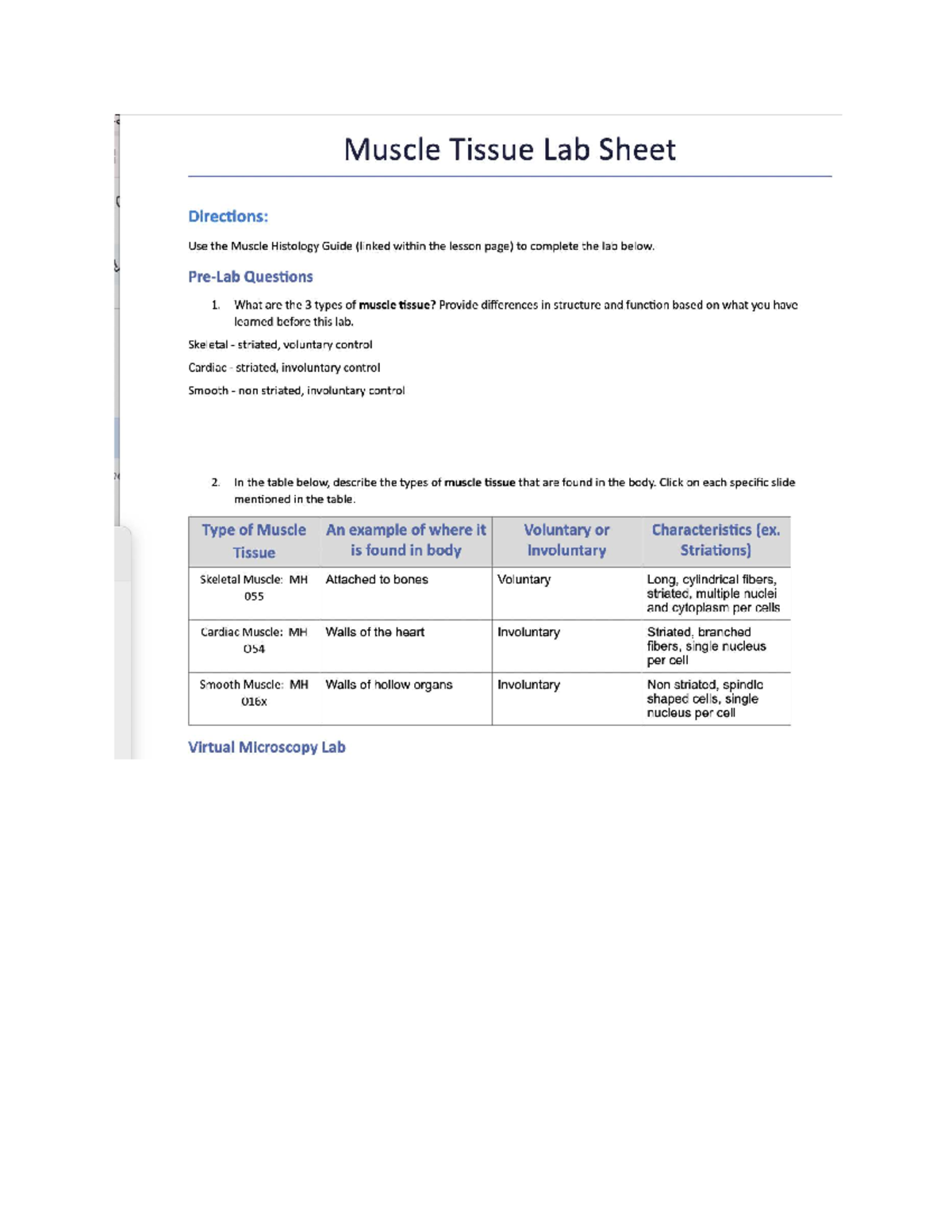 Cardiac Muscle Histology Guide