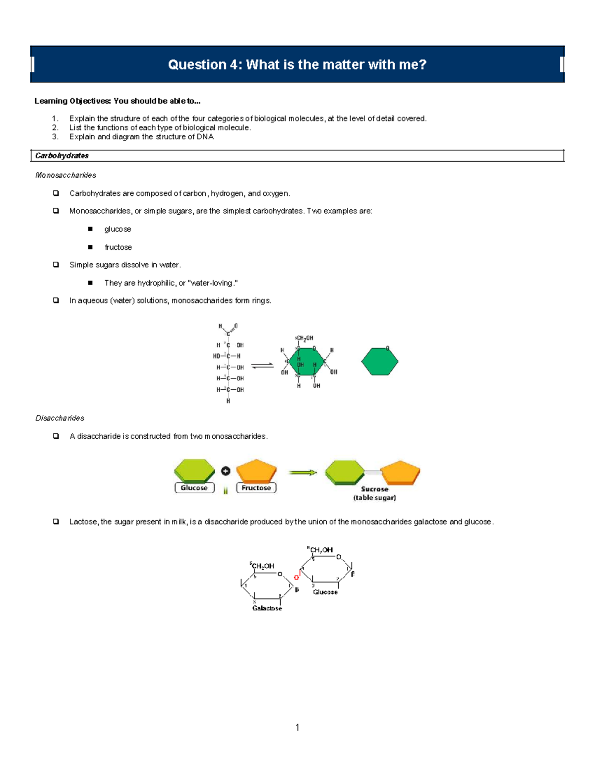 Biological Molecules & DNA Structure: Functions & Types Overview - Studocu