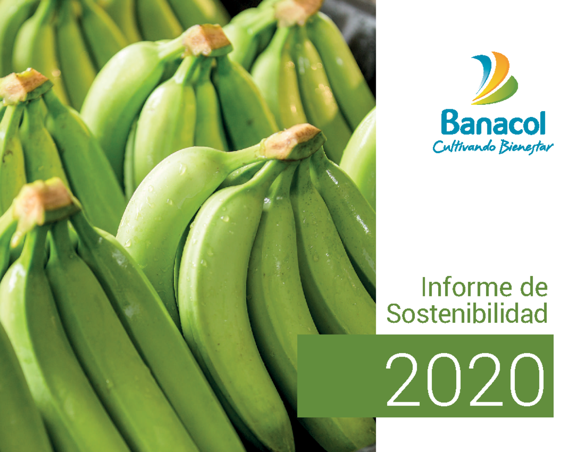 Informe de Sostenibilidad de Banacol 2020: Rendimiento y Compromisos ...