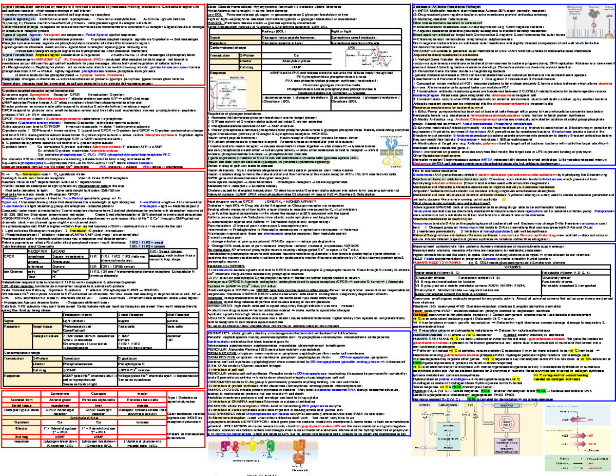 Real Biosci 101 Final Exam Cheat Sheet: Signal Transduction & Receptors ...